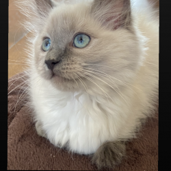 49432934-180F-4A62-B2DB-7064231644E6