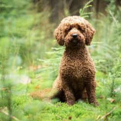 1AC90ED6-09EE-4350-891A-DBE06C2B9222