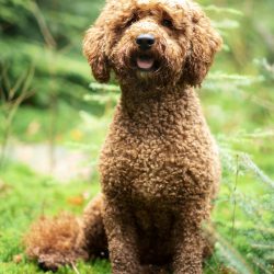 4247EBAC-7A94-4526-80FA-088E52737C58