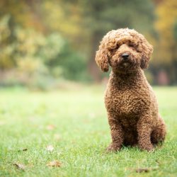 4801FA22-70AC-4BD5-88D8-6175F7FB821E