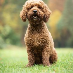 4B00E79B-420A-49BC-AD01-BAEB26E7E744