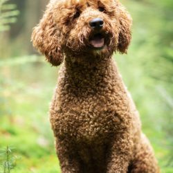 93EDDBD5-7D2F-4803-BFF1-D9AB54C8B913